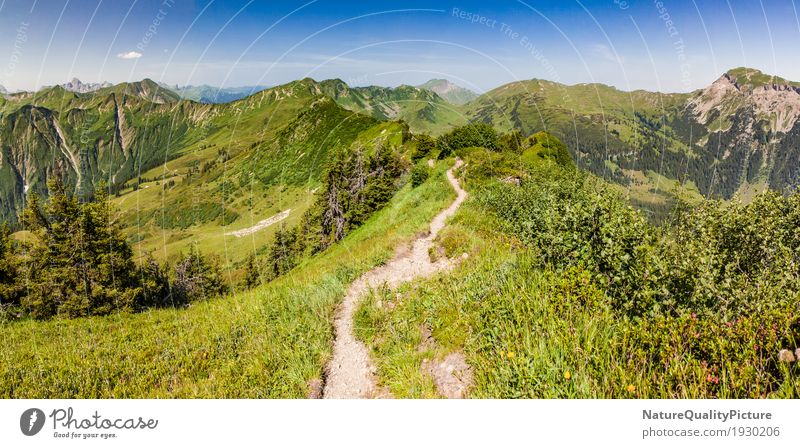 trail outside - kleinwalser velley - europe Lifestyle wandern Natur Fitness adventure healthy exercise recreation activity path trek footpath extrem achievement