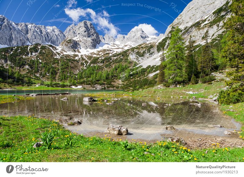 seebensea in tyrol elegant Stil Glück Gesundheit Wellness Leben harmonisch Wohlgefühl Zufriedenheit Sinnesorgane Erholung ruhig Meditation Duft Kur Spa