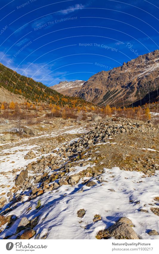 trail to morteratsch glacier Leben harmonisch Wohlgefühl Zufriedenheit Erholung ruhig Meditation Freizeit & Hobby Ferien & Urlaub & Reisen Tourismus Ausflug