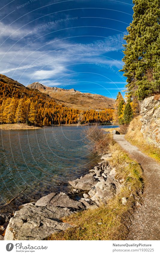 siilvaplana - graubunden - switzerland sportlich harmonisch Zufriedenheit Sinnesorgane ruhig Meditation Ferien & Urlaub & Reisen Tourismus Berge u. Gebirge