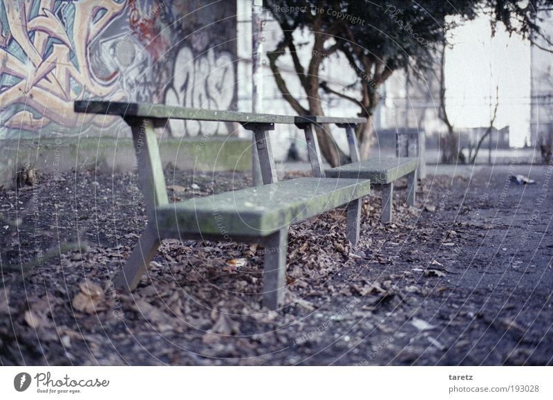 Nicht bequem, aber modern Aachen Mauer Wand alt dreckig grau grün Erholung Farbe Stadtmöbel Parkbank Graffiti Blatt Herbst Beton einfach Bank leer Pause