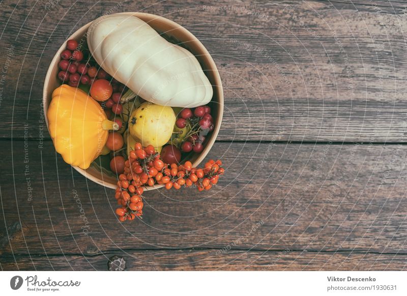 Herbststillleben des Gemüses Frucht Apfel Design schön Leben Dekoration & Verzierung Tisch Erntedankfest Kunst Natur Blatt Holz alt frisch natürlich gelb grün