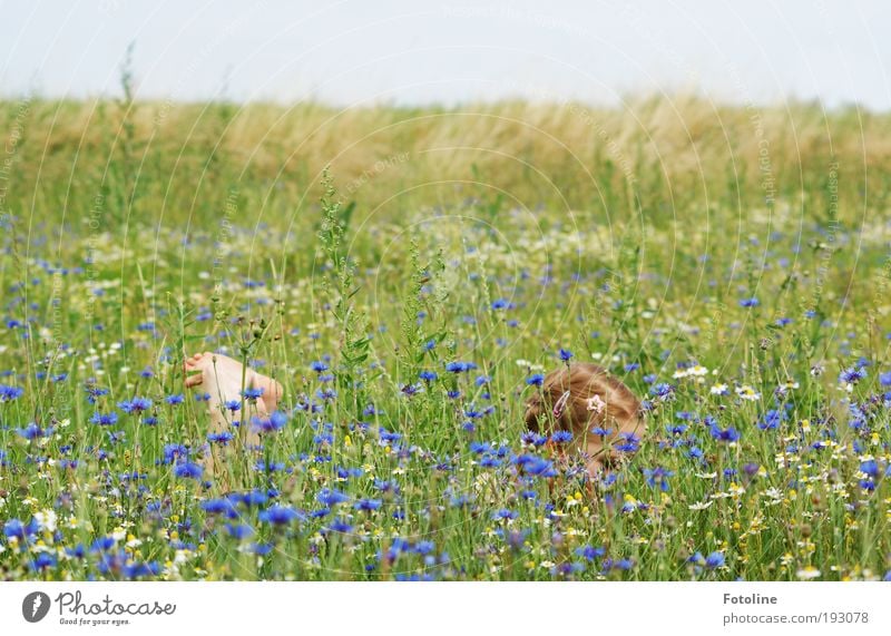 Vorfreude auf den Sommer Mensch Kind Mädchen Kopf Umwelt Natur Landschaft Pflanze Urelemente Erde Luft Himmel Wolkenloser Himmel Klima Wetter Schönes Wetter