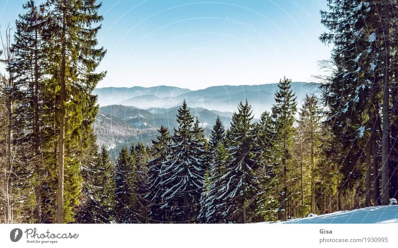 Blick vom Unterberg auf die Voralpen. Schneewandern Skifahren Snowboarding Tourismus Ausflug Winter Landschaft Schönes Wetter Wald Hügel Alpen Berge u. Gebirge