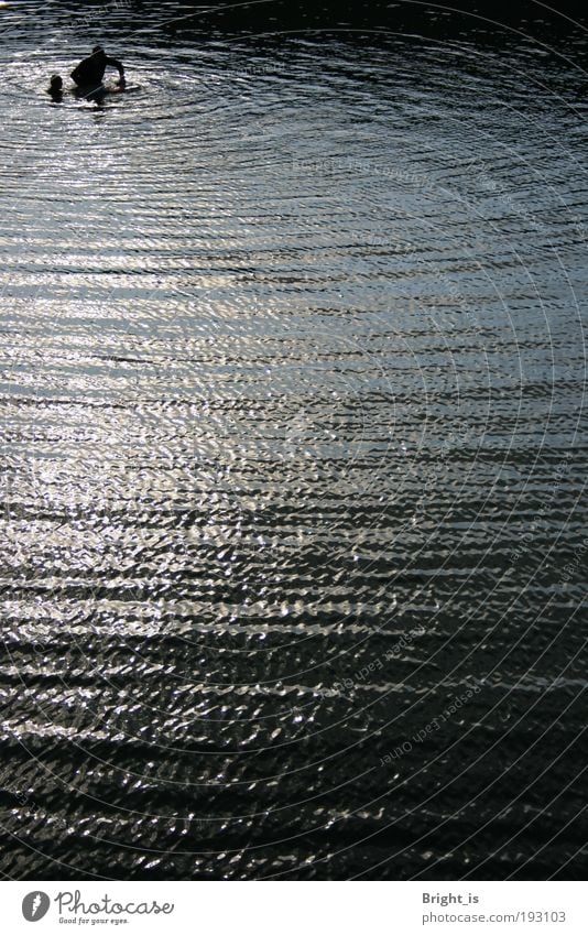 waves of silver Erholung Sommer Wellen Wasser Schwimmen & Baden Farbfoto Außenaufnahme Dämmerung Tag