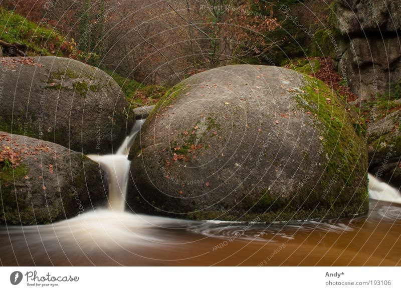 la mare aux sangliers Ferien & Urlaub & Reisen Tourismus Ausflug Ferne Frankreich Bretagne Finistere Huelgoat Natur Landschaft Wasser Herbst Bach Wasserfall