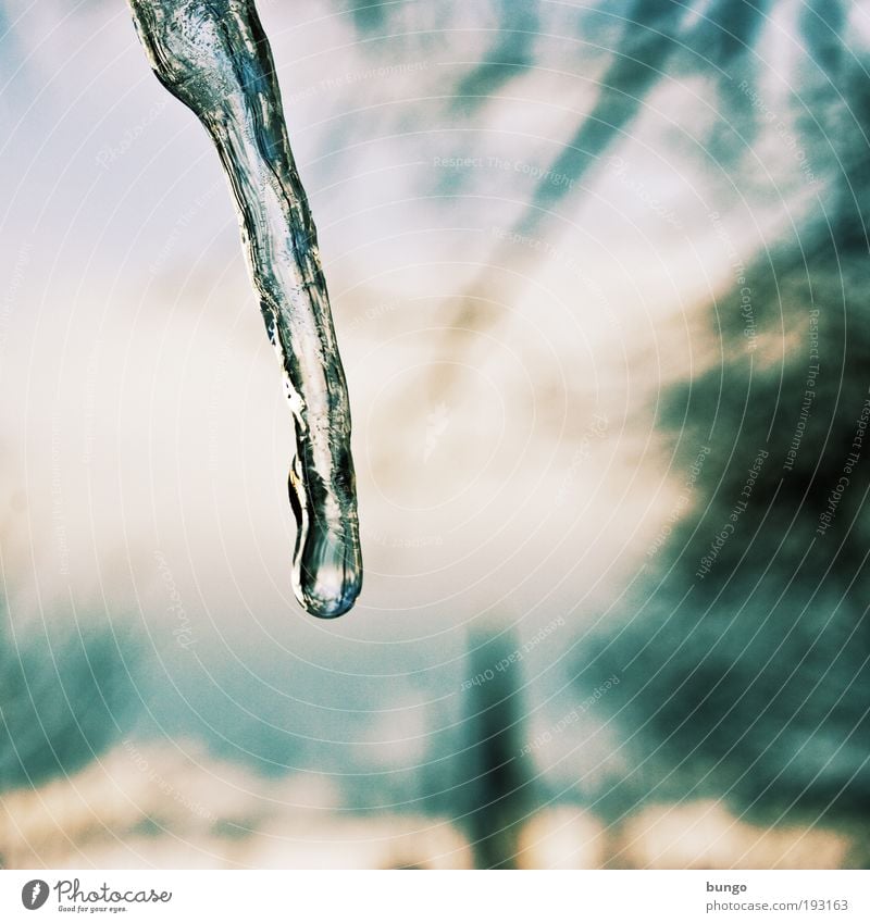 frigor Umwelt Natur Urelemente Wassertropfen Winter Klima Eis Frost frieren kalt Eiszapfen tauen hängen fallen Tropfen Eiskristall Frühling Farbfoto