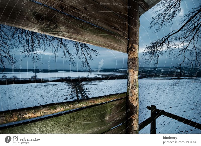 shotspot Jagd Umwelt Natur Landschaft Winter Klima Wetter Eis Frost Schnee Wiese Feld ruhig Jagdrevier Baumhaus Holzhaus Farbfoto mehrfarbig Außenaufnahme Licht