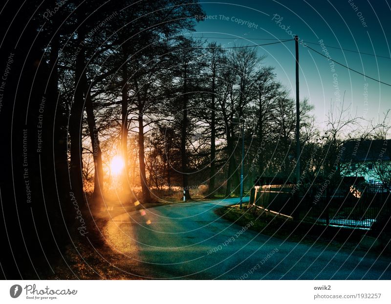 Ein Stück Ewigkeit Umwelt Natur Landschaft Wolkenloser Himmel Winter Eis Frost Baum Sträucher Dorf Verkehrswege Straße Kurve Straßenbeleuchtung Strommast