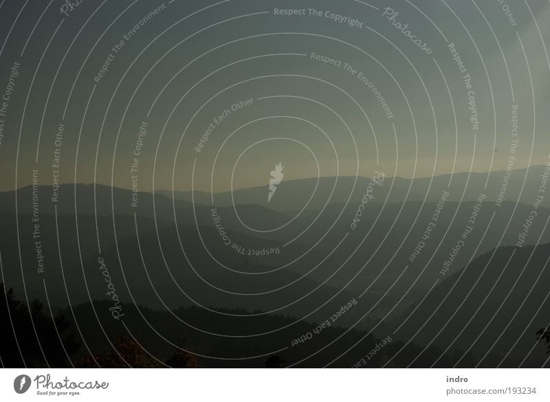 landschaft in grau Ferne Freiheit Berge u. Gebirge Umwelt Horizont Herbst schlechtes Wetter Nebel Wellen Stimmung schön Bewegung elegant Leichtigkeit