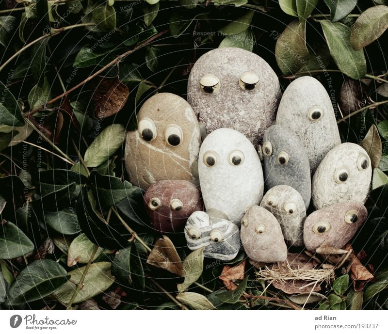 stoned family Kopf Auge Kunst Skulptur Sträucher Grünpflanze Garten Stein steinig Dekoration & Verzierung Blumenstrauß Souvenir hängen Blick Coolness