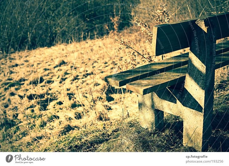 Sonnenbank Ruhestand Natur Schönes Wetter Wiese Wald Hügel Fußweg Bank wandern Zufriedenheit Warmherzigkeit Einsamkeit Erschöpfung Ende Lebensfreude