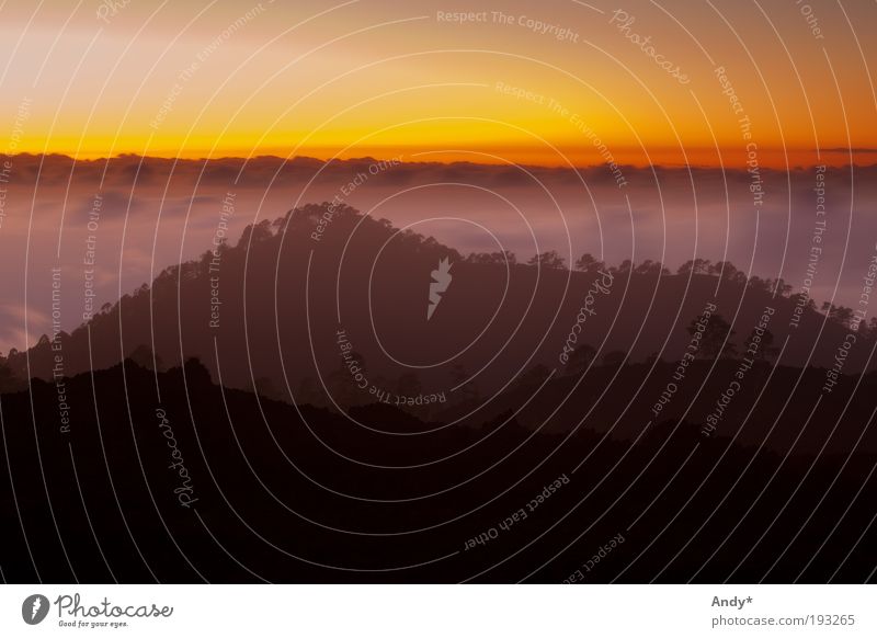 über den Wolken Ferien & Urlaub & Reisen Tourismus Ausflug Ferne Sonne Insel Berge u. Gebirge Spanien Teneriffa Natur Erde Feuer Himmel Horizont Sonnenaufgang