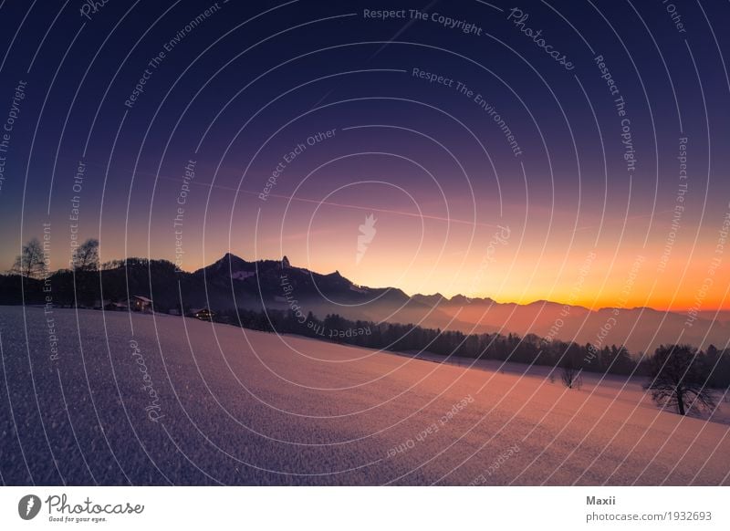 Wintertraum am Samerberg Umwelt Natur Landschaft Himmel Wolkenloser Himmel Sonne Sonnenaufgang Sonnenuntergang Wetter Schönes Wetter Schnee Feld Wald Hügel