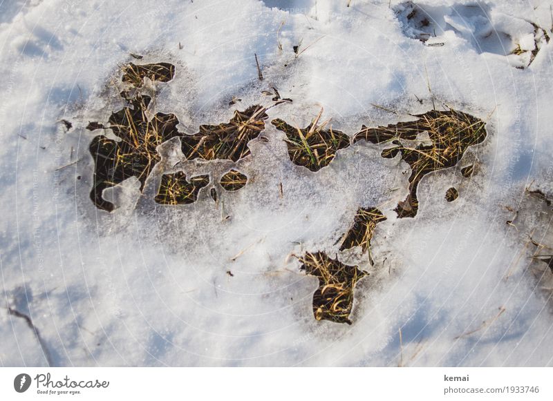 Reste Umwelt Natur Pflanze Sonnenlicht Frühling Winter Schönes Wetter Eis Frost Schnee Gras Grünpflanze Wiese Wachstum authentisch hell natürlich Tauwetter