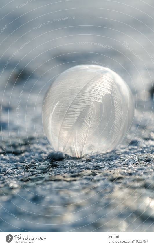 Kalt harmonisch ruhig Freizeit & Hobby Spielen Luft Winter Eis Frost Seifenblase liegen außergewöhnlich frisch glänzend kalt rund Eiskunst filigran gefroren