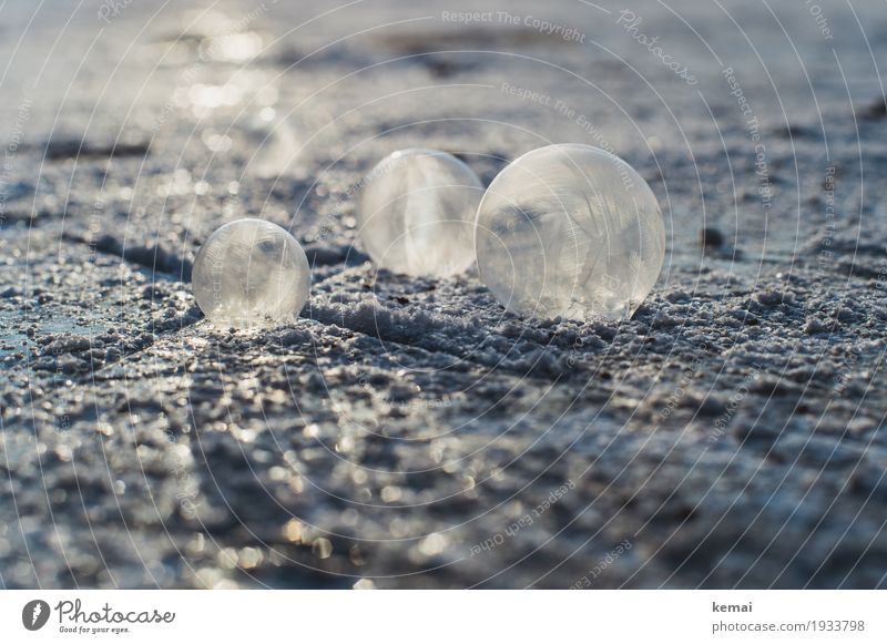 Drei harmonisch ruhig Freizeit & Hobby Spielen Umwelt Natur Urelemente Sonnenlicht Winter Eis Frost Schnee See außergewöhnlich dunkel Zusammensein glänzend hell