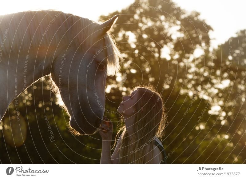 "Hey Dude" Reiten Sommer Sonne Reitsport Mensch feminin Junge Frau Jugendliche Haare & Frisuren Gesicht 18-30 Jahre Erwachsene Landschaft Himmel Sonnenaufgang