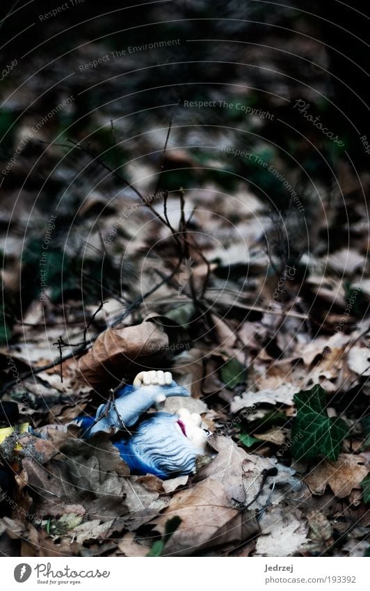 Halb begraben Handwerker Gartenarbeit Friedhof Dienstleistungsgewerbe Arbeitslosigkeit Ruhestand Feierabend Umwelt Pflanze Erde Winter schlechtes Wetter