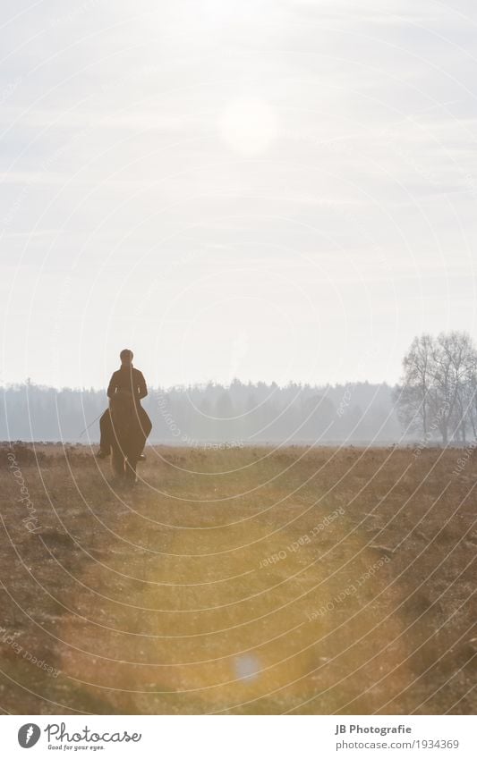 Autumn Vibes Reitsport Pferd Gefühle Stimmung Zufriedenheit Vertrauen Geborgenheit Einigkeit Zusammensein Island Ponys Farbfoto Außenaufnahme Dämmerung