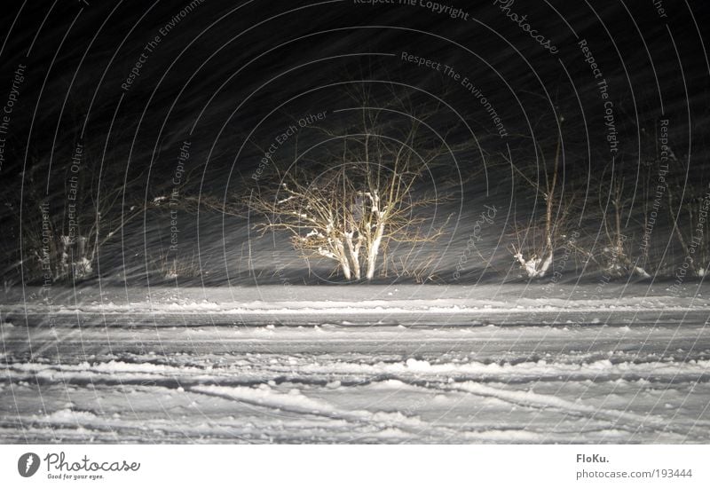 Schneesturm als Strichzeichnung Umwelt Urelemente Winter Klimawandel Wetter schlechtes Wetter Unwetter Eis Frost Schneefall Verkehr Straßenverkehr Autofahren