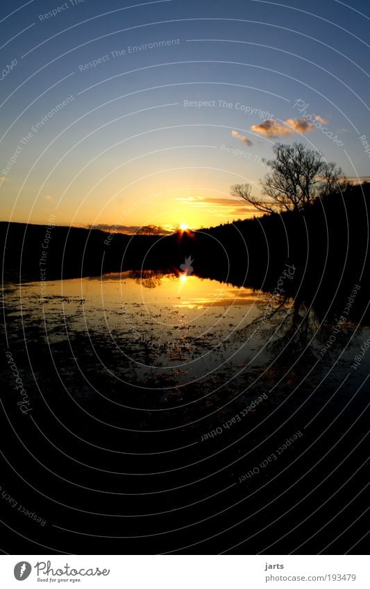 Hessisch Sunset Umwelt Natur Landschaft Tier Wasser Himmel Wolken Sonne Sonnenaufgang Sonnenuntergang Sonnenlicht Klima Wetter Schönes Wetter Baum fantastisch