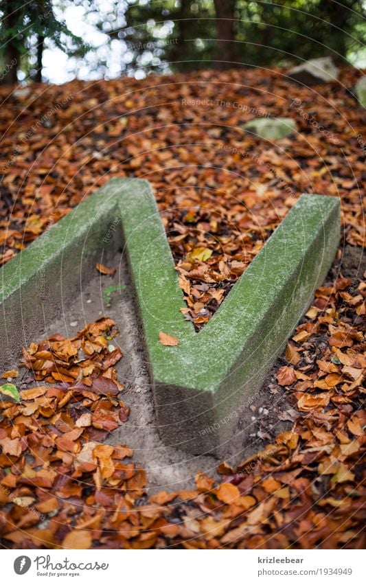 Vermoostes N in Beton Erde Herbst Moos Blatt Wald Denkmal Schriftzeichen alt dunkel historisch natürlich braun grau Buchstaben Anschnitt Farbfoto