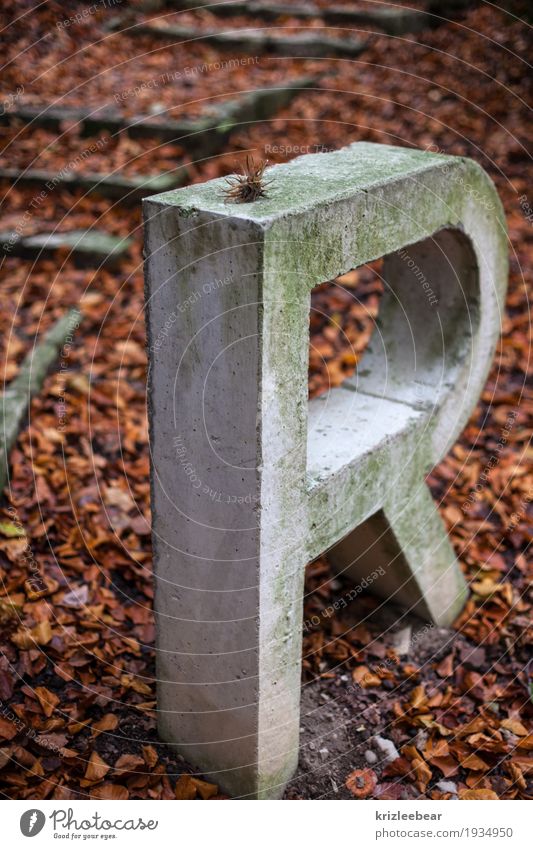 Vermoostes R in Beton Erde Herbst Moos Blatt Wald Denkmal Schriftzeichen dunkel historisch natürlich stark braun grau Buchstaben Gedeckte Farben Außenaufnahme