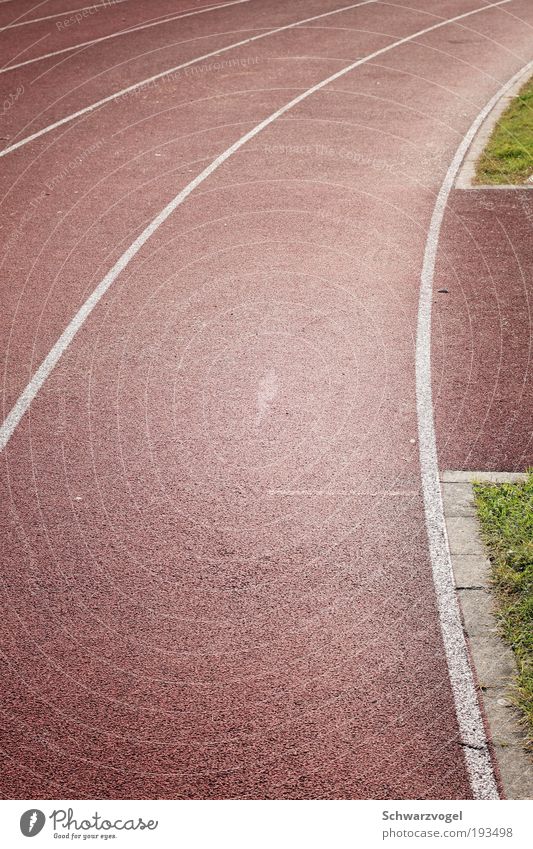 Kurvenabschnittsauschnitt mit Grün Übergewicht Leben ruhig Sport Leichtathletik Joggen Sportstätten Stadion Rennbahn Kunststoff Bewegung kämpfen laufen grün rot