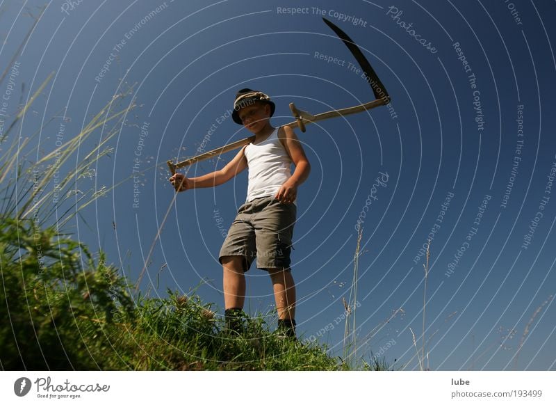 Der Sensenmann Gartenarbeit Arbeitsplatz maskulin Umwelt Natur Landschaft Wolkenloser Himmel Sommer Schönes Wetter Gras Sträucher Wiese Feld