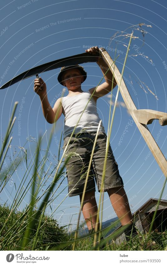 ich hör schon das Gras wachsen Gartenarbeit Umwelt Natur Landschaft Wolkenloser Himmel Sonne Sommer Wetter Schönes Wetter Sträucher Wiese Feld Freizeit & Hobby