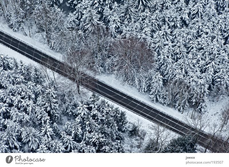 Raumteiler Natur Winter Eis Frost Schnee Baum Wald Verkehrswege Straße entdecken oben unten ruhig Angst Vogelperspektive Nadelwald Schneelandschaft