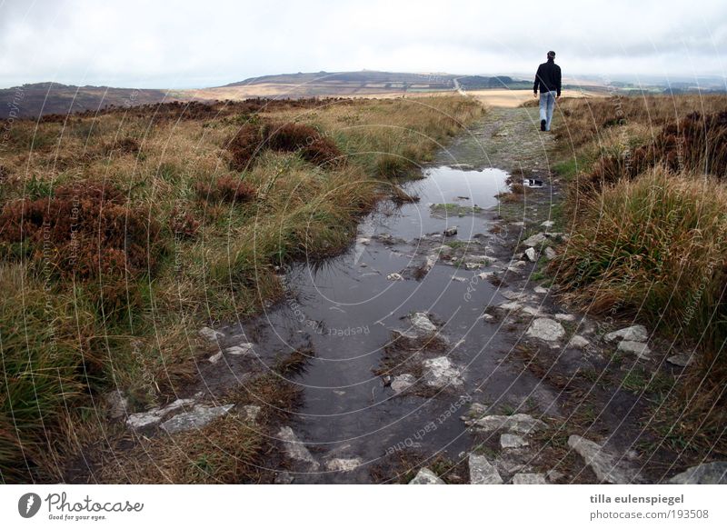 er geht ruhig wandern Ferien & Urlaub & Reisen Ausflug Ferne Freiheit Berge u. Gebirge maskulin Mann Erwachsene 1 Mensch Umwelt Natur Landschaft Horizont Herbst