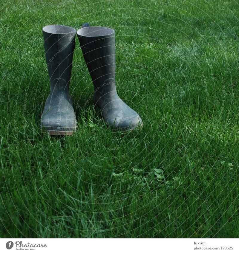 Nordsee-Pumps Erholung Garten Hausbau Renovieren Gartenarbeit Baustelle Umwelt Wiese Stiefel Gummistiefel nachhaltig Schuhe grün Arbeit & Erwerbstätigkeit