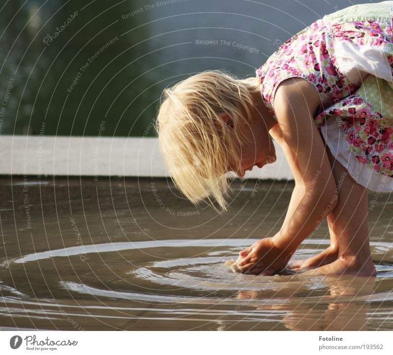 Wasserpanscher Mädchen Kindheit Leben Haut Kopf Haare & Frisuren Gesicht Nase Mund Lippen Arme Hand Finger Beine Fuß Umwelt Natur Urelemente Sommer Klima Wetter