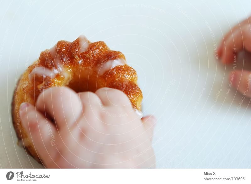 ich hab dich erwartet und Kuchen gemacht! Lebensmittel Teigwaren Backwaren Dessert Süßwaren Ernährung Kaffeetrinken Büffet Brunch Fingerfood Übergewicht