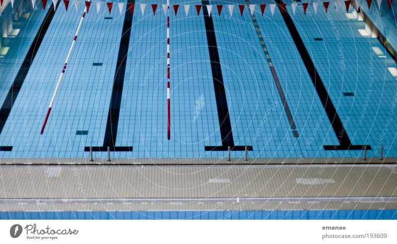 platschbecken Sport Wassersport tauchen Schwimmbad springen kalt nass Erholung Rennbahn Schwimmhalle Sprungbrett Fahne Fliesen u. Kacheln Beginn Glätte