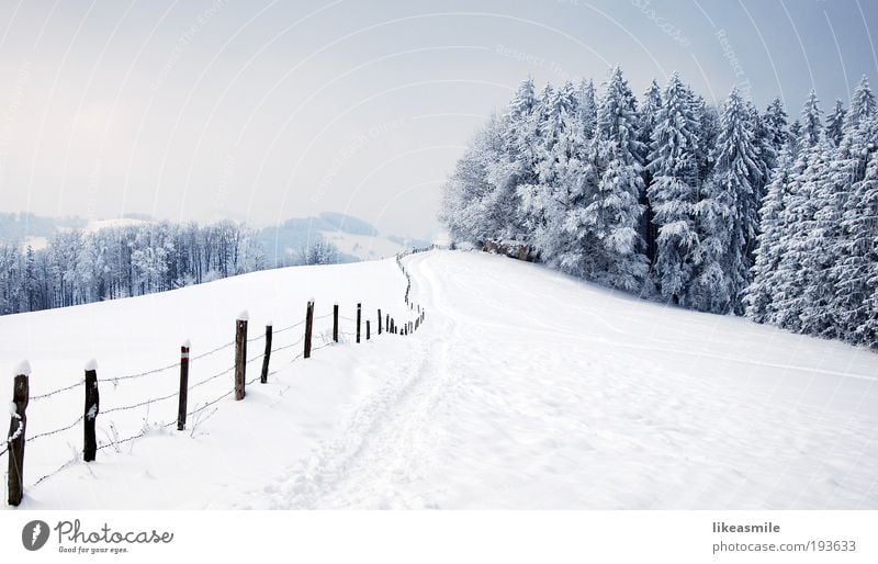 Winterwonderland Natur Landschaft Pflanze Himmel Wolken Eis Frost Schnee Baum Wiese Wald Hügel Stimmung Erde Zaun Wege & Pfade Winterurlaub Farbfoto