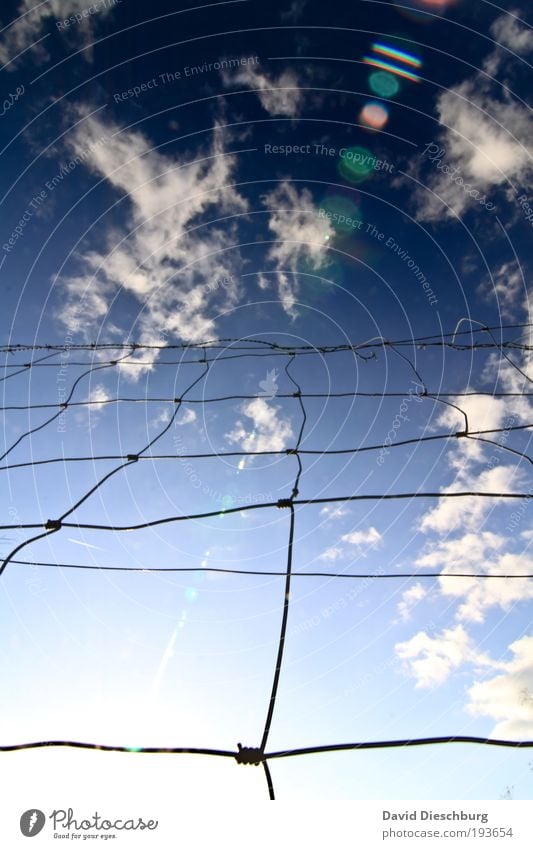 Zaun bis zu den Wolken Himmel Schönes Wetter blau weiß Draht Raster Knoten Netzwerk Barriere gesperrt Grenze Begrenzung Wolkenformation Wolkenbild leuchten