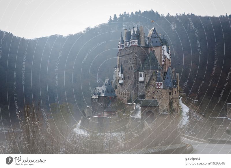 Märchenschloss Natur Landschaft Herbst Winter schlechtes Wetter Nebel Eis Frost Wald Hügel Burg oder Schloss Gebäude Sehenswürdigkeit kalt Nostalgie