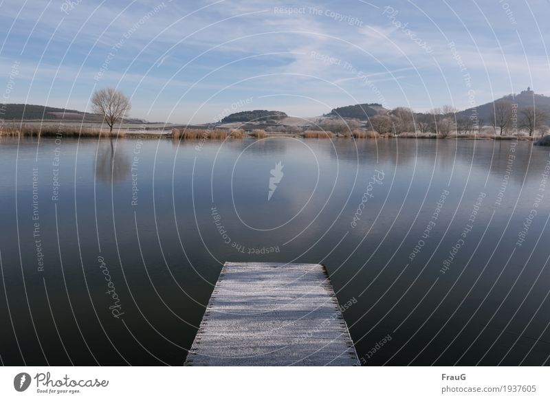 prima Klima | aber kalt... harmonisch ruhig Ausflug Winter Himmel Wolken Schönes Wetter Eis Frost Baum Sträucher Hügel Seeufer Erholung schön blau Natur