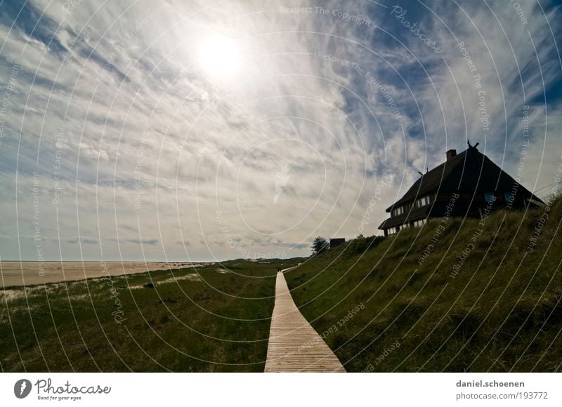 Amrum 5 Erholung ruhig Ferien & Urlaub & Reisen Tourismus Ferne Freiheit Sommer Sommerurlaub Strand Meer Insel Haus Landschaft Himmel Horizont Schönes Wetter