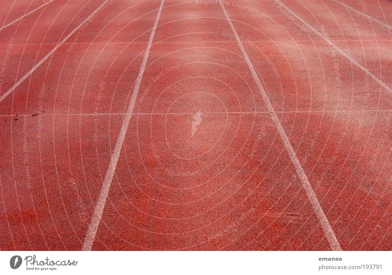 lauf weg gerade Sport Leichtathletik Sportler Joggen Sportstätten Fußballplatz Rennbahn Bewegung laufen Geschwindigkeit 100 Meter Lauf Linie Ferne Beginn Ziel