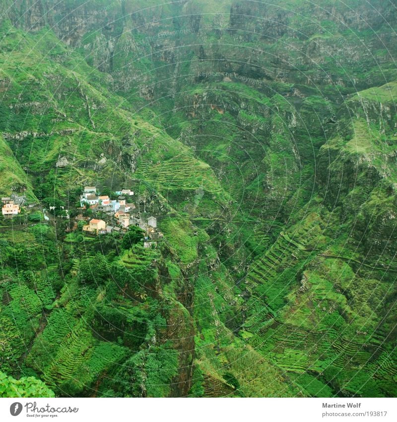 grün in grün in grün in grün Ferien & Urlaub & Reisen Ausflug Abenteuer Ferne Freiheit Expedition Berge u. Gebirge wandern Natur Landschaft Schlucht Cabo Verde