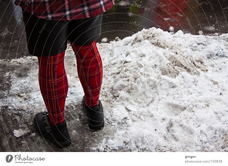 Kariert Lifestyle Stil Mann Erwachsene Beine 1 Mensch Mode Bekleidung Strumpfhose Schuhe stehen warten kariert rot schwarz Lederhose Asphalt Schneematsch nass