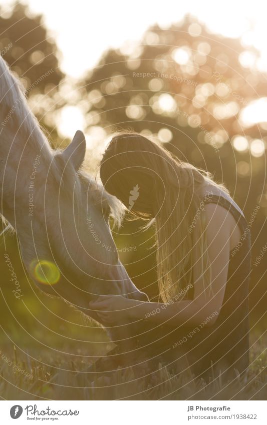 Mit Dir in den Sonnenuntergang Reiten feminin Junge Frau Jugendliche Körper Haare & Frisuren 18-30 Jahre Erwachsene Natur Landschaft Sommer Wiese Feld Kleid