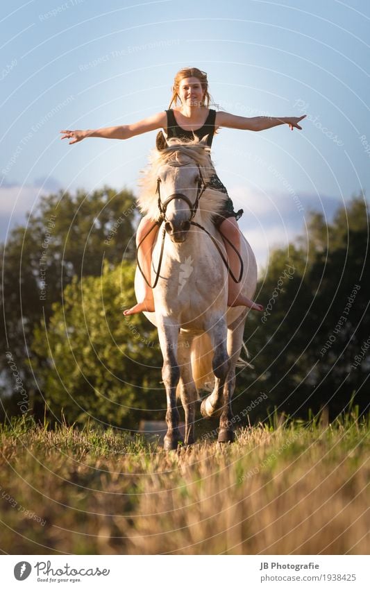 "Träum mal drüber nach" Reiten Reitsport feminin Junge Frau Jugendliche Körper Haare & Frisuren 18-30 Jahre Erwachsene Natur Landschaft Sommer Schönes Wetter