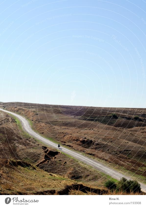 Einsamkeit Ferien & Urlaub & Reisen Abenteuer Ferne 1 Mensch Umwelt Natur Landschaft Erde Sand Wolkenloser Himmel Herbst Wärme Hügel Tunesien Verkehrswege