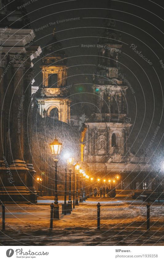 auf dem terrassenufer Stadt Hauptstadt Stadtzentrum Altstadt Kirche Dom Religion & Glaube Dresden Straßenbeleuchtung Schnee Nacht Winter Hofkirche Dresden