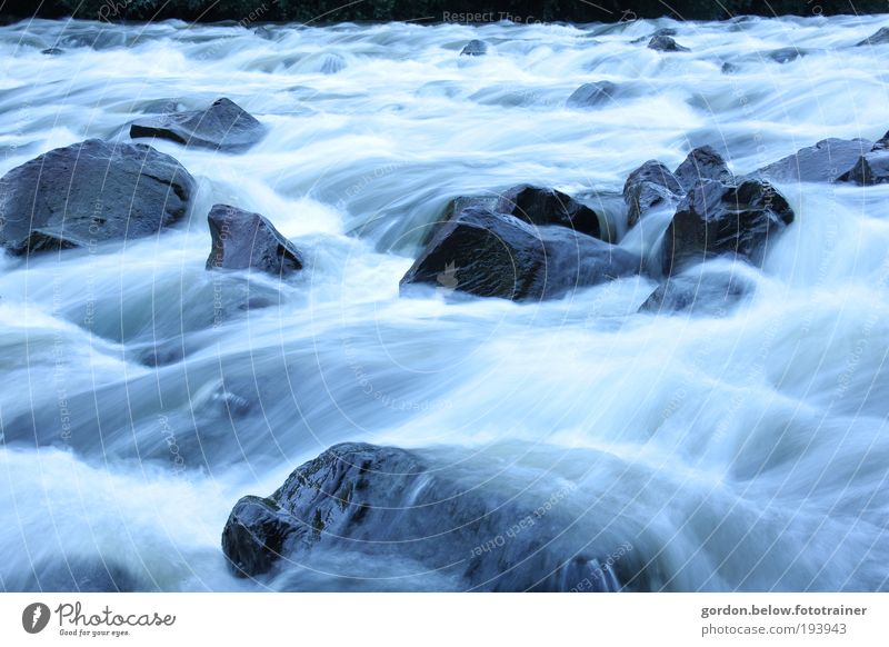 wilde Wasser Umwelt Natur Landschaft Pflanze Winter Klimawandel Wetter Unwetter Gletscher Flussufer Bach Wasserfall Menschenleer Bootsfahrt Stein Bewegung